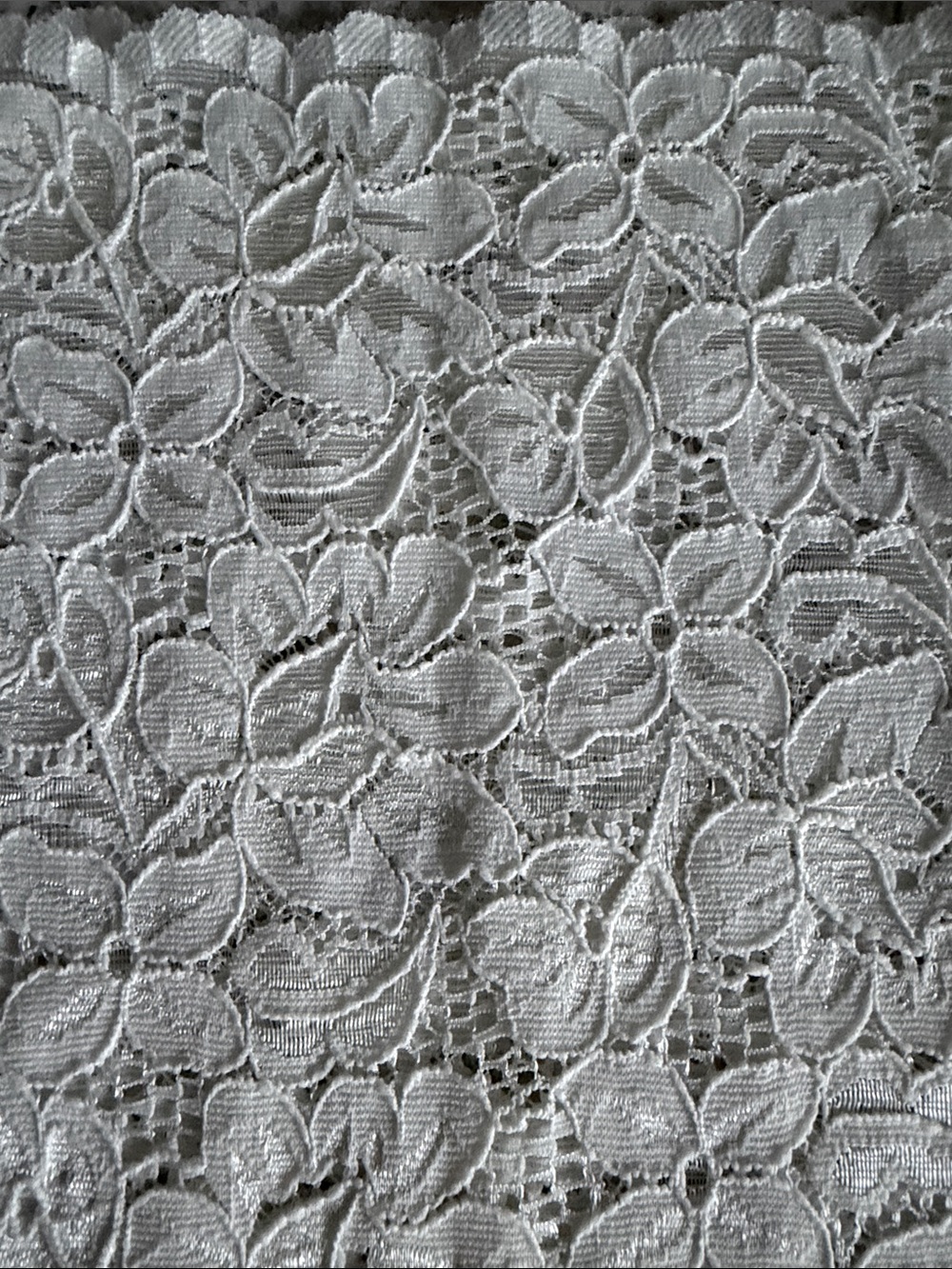 Ivory Floral Stretch Lace Bandeau - Picture 4 of 4